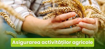 Asigurarea activităților agricole este susținută din bugetul public