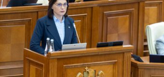 Raport MAI audiat în Parlament: măsuri pentru combaterea consumului și traficului de droguri