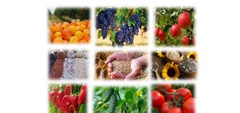 ANSA a publicat Raportul privind reziduurile de pesticide pentru anul 2025