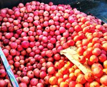 Un lot de rodii neconforme depistate de ANSA la frontiera de stat