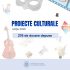 278 de proiecte au fost depuse la Concursul pentru finanțarea proiectelor culturale ale organizațiilor necomerciale