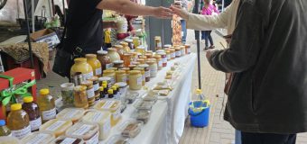 Târguri cu produse autohtone în Chișinău