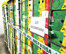 Un lot neconform de ardei a fost nimicit de ANSA