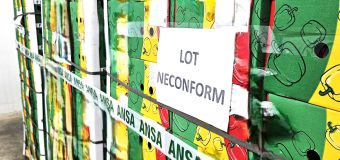 Un lot neconform de ardei a fost nimicit de ANSA