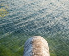 Procuratura Generală s-a autosesizat pe cazul poluării fluviului Nistru