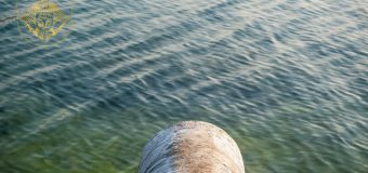 Procuratura Generală s-a autosesizat pe cazul poluării fluviului Nistru