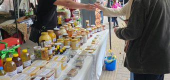 Iarmaroace și târguri cu produse autohtone în Chișinău vor fi desfășurate în weekend