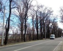 10 echipe de muncitori au intervenit pe șoseaua Muncești