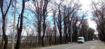 10 echipe de muncitori au intervenit pe șoseaua Muncești