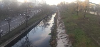 Pete pe râul Bîc. Primăria: Am solicitat organelor de poliție, autorității „Apele Moldovei” și Agenției de Mediu să investigheze cazul