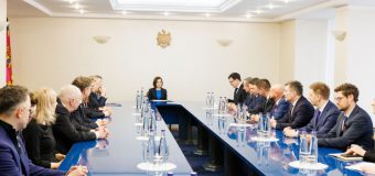 Întrevederea șefei statului cu delegația Comisiilor pentru afaceri europene din statele baltice, nordice și Polonia