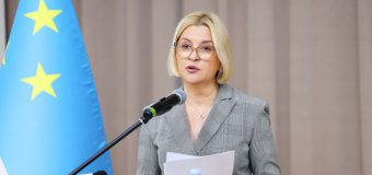 Irina Vlah cere prim-ministrului retragerea demersului Ministerului Justiției către CC, cu scopul de a anula o serie de prevederi ale Legii privind autonomia găgăuză