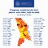 Studiu: Prognozele demografice indică o continuare a declinului populației școlare