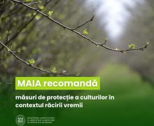 Recomandările MAIA în contextul scăderilor de temperatură