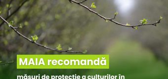 Recomandările MAIA în contextul scăderilor de temperatură