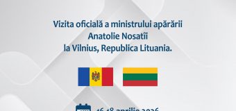 Ministrul Apărării efectuează o vizită oficială la Vilnius
