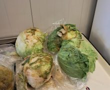 ANSA a dispus nimicirea a peste 10 tone de verdeață de import