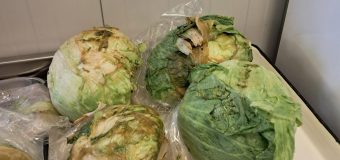 ANSA a dispus nimicirea a peste 10 tone de verdeață de import