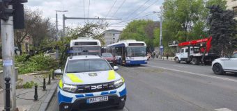 O creangă a căzut peste un troleibuz pe Ștefan cel Mare în Capitală