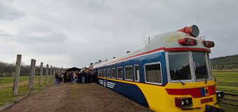 A fost relansat traficul feroviar pe tronsonul Prut-2 – Fălciu