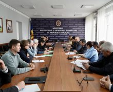 Provocările din sectorul fructelor, nucilor și pomușoarelor au fost discutate la Consiliul consultativ