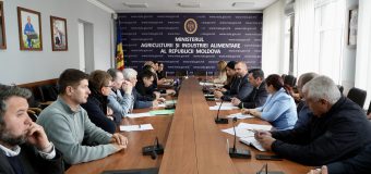 Provocările din sectorul fructelor, nucilor și pomușoarelor au fost discutate la Consiliul consultativ