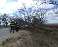 În urma condițiilor de vânt puternic IGSU a înregistrat 58 de solicitări