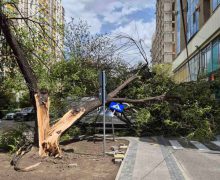 Echipele municipale intervin pentru a lichida consecințele vântului puternic