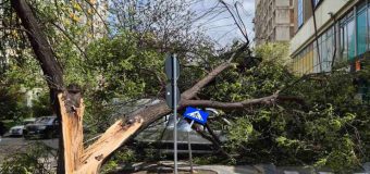 Echipele municipale intervin pentru a lichida consecințele vântului puternic