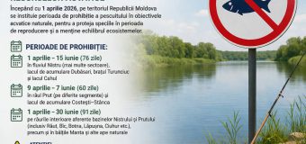 De astăzi este instituită prohibiția la pescuit în bazinele acvatice naturale