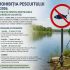 De astăzi este instituită prohibiția la pescuit în bazinele acvatice naturale