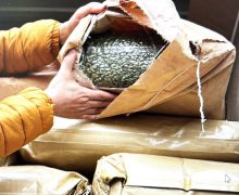 ANSA a reținut la frontieră 15 tone de semințe de dovleac contaminate cu pesticide