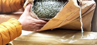 ANSA a reținut la frontieră 15 tone de semințe de dovleac contaminate cu pesticide