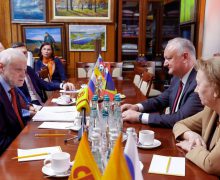 Igor Dodon și Zinaida Greceanîi au avut o întrevedere cu liderul partidului „Spravedlivaya Rossia – za pravdu”