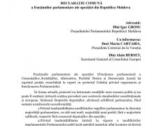 Liderii fracțiunii de opoziție s-au adresat mai multor instituții europene