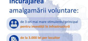 A fost prezentat conceptul de reformă a APL: raioanele se reduc la 10