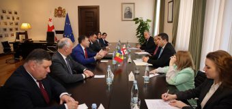 Deputații PSRM s-au întâlnit cu președintele Parlamentului Georgiei