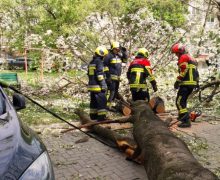 Peste 100 de misiuni au fost realizate de salvatorii și pompierii IGSU în urma intensificărilor de vânt