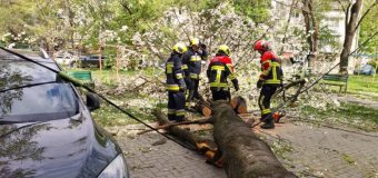Peste 100 de misiuni au fost realizate de salvatorii și pompierii IGSU în urma intensificărilor de vânt