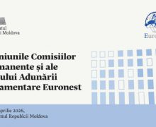 Parlamentul va găzdui reuniunile comisiilor permanente și ale Biroului Adunării Parlamentare Euronest