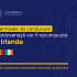 Permisele de conducere moldovenești vor fi recunoscute în Irlanda