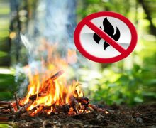 IGSU îndeamnă cetățenii să respecte regulile de siguranță în timpul odihnei în aer liber