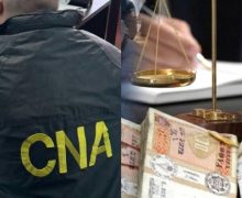 Sinteza CNA: corupție sistemică în domeniul silviculturii, condamnări și sechestre de peste 3 milioane de lei aplicate de ARBI