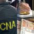 Sinteza CNA: corupție sistemică în domeniul silviculturii, condamnări și sechestre de peste 3 milioane de lei aplicate de ARBI