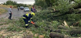 Intervențiile salvatorilor IGSU în urma ploilor înregistrate pe teritoriul țării