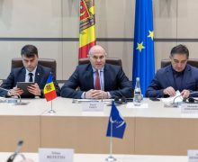 Pavel Voicu a moderat o ședință comună cu participarea Comisiei de la Veneția și a opoziției parlamentare