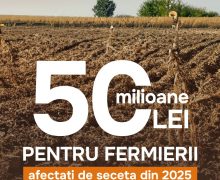 Guvernul alocă 50 de milioane de lei pentru fermierii afectați de seceta din 2025