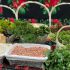 Târguri cu produse autohtone în Capitală în acest weekend