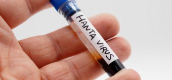 Infecția cu hantavirus: Nivelul de risc pentru sănătatea publică