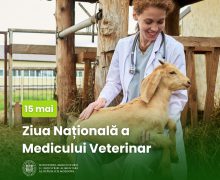Republica Moldova marchează Ziua națională a medicului veterinar